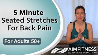 5 Minute Seated Stretches | For Back Pain | Chair Exercises For Seniors