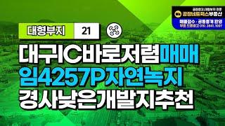 서대구KTX 대형 땅 호재 상리동 도로 접한 경사 낮은 임야 매매 개발지로 추천합니다.21