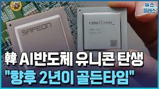 국내 첫 AI 반도체 유니콘 탄생…관전 포인트는/한국경제TV뉴스