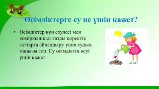 3 класс Жаратылыстану  Тақырыбы: Өсімдік тіршілігіне судың әсері