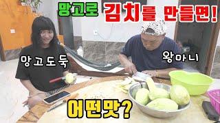 베트남시골 흔한망고로 한국김치를 만들어본다면?  (kiengiangtv)