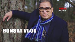 Bonsai Vlog  - What a week of Bonsai is like for me