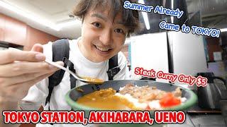 Already Summer came to Tokyo? Akihabara Budget Friendly In-station Restaurant, Ameyoko & Ueno Ep.573