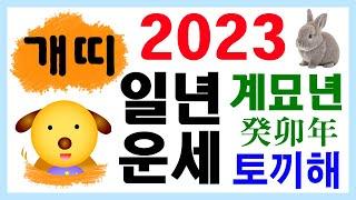 [띠별 일년 운세] 2023 계묘년 개띠 운세입니다~ 상담 : 010-9563-2238/사주/운세/역학/철학/주역/관상/풍수지리/주역/육효/철학원