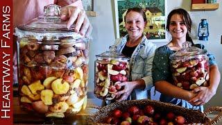 The Best Recipe for Bruised Apples | How to make Fermented Apple Brandy | Apple Cordial Recipe