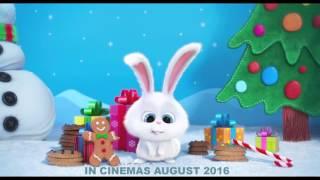 The Secret Life of Pets – Christmas piece