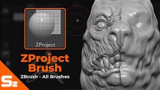 ZProject Brush: ZBrush All Brushes