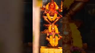 Swamiye sharanam ayyappa | god ayyappa devotional #ayyappatelugudevotionalsongs | #ayyappashorts