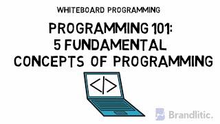 5 Fundamental Concepts of Programming Languages | Basic Concepts of Programming for Beginners