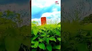 My fast vlog