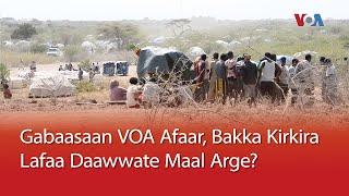 Gabaasaan VOA Afaar, Bakka Kirkira Lafaa Daawwate Maal Arge?  | VOA Afaan Oromoo