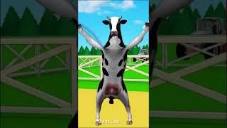 البقرة الراقصة | البقرة الحلوب | عزف على الطنجرة | مقطع مضحك | البقرة الضاحكه | the | كوميدي مضحك