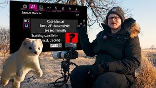 Best Canon R5 Mark II Autofocus Settings for Wildlife