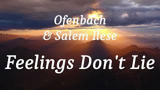 Ofenbach & Salem Ilese - Feelings Don't Lie (lyrics)