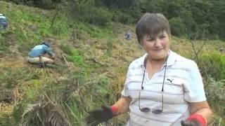 World Heritage Wet Tropics: Restoring Communities [Trailer]