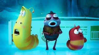 STOP FREEZE  | LARVA | Cartoons for Kids | WildBrain Blast