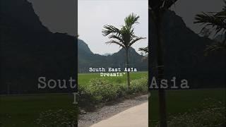 Backpacking South East Asia was an absolute dream! #southeastasia #backpacking #vietnam #thailand