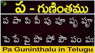 ప గుణింతం | Pa gunintham | How to write Telugu Pa guninthalu | Telugu varnamala Guninthamulu