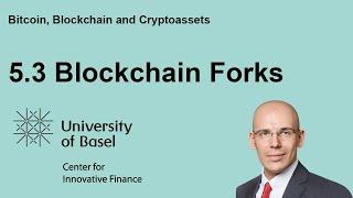 Blockchain Forks - Bitcoin, Blockchain and Cryptoassets