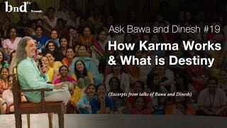 How Karma Works & What is Destiny : Ask Bawa and Dinesh 19