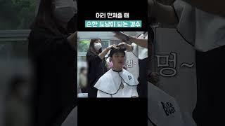 순한 도냥이