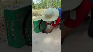 How this bird catcher catches Birds