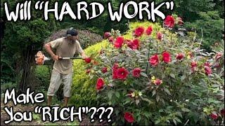 How Much do “homeowners” PAY for YARD WORK in 2024 #landscaping  #business #inflation #gardening