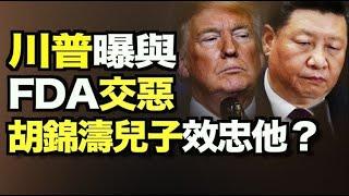 湖南網絡全面癱瘓；馬雲精准預言自己不得善終！胡錦濤兒子向習表忠心為升官？黑命貴創始人買白人區豪宅 紐約頭目呼籲調查；川普自曝與FDA交惡內幕！拜登秘密會議美媒不報【希望之聲TV】12am