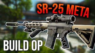 SR-25 BUILD FULL META - 12.12 - Escape From Tarkov