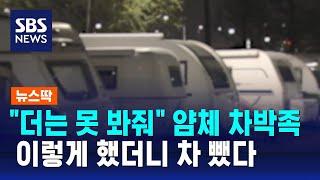 "더는 못 봐줘" 얌체 차박족, 이렇게 했더니 차 뺐다 / SBS / 뉴스딱