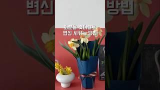 화분을 꽃다발로 변신 시키는 방법🪴️