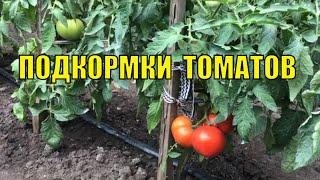 Подкормки томатов. Когда и чем.