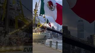 Brooklyn Bridge Horror: Ship Crash Sparks Chaos