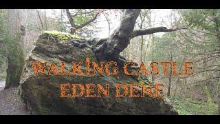 Castle Eden Dene Nature reserve