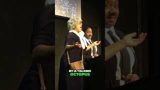 Pina Colada & A Talking Octopus ! #funny #comedy