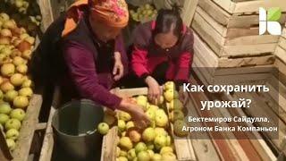 Как сохранить урожай?