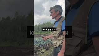 Вырастить томаты на севере Казахстана. Бизнес с нуля. Бизнес бастау #фермер #бизнес  #бизнесбастау