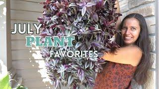 5 plants that made me happy in July 2023.