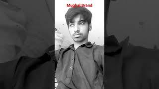 Hamza mughal