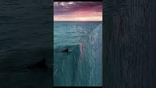 If these pictures scare you, you might have thalassophopia (fear of sea)