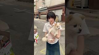 혹시 만져봐도 돼요? #shorts