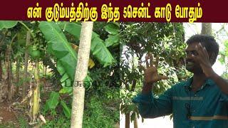 என் குடும்ப தேவைக்கு இந்த 5சென்ட் காடு போதும் / multicrop organic farming in five cent land,