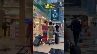 世界最美機場/新加坡樟宜機場/The most beautiful airport in the world/Singapore Changi Airport#新加坡#樟宜机场#Singapore