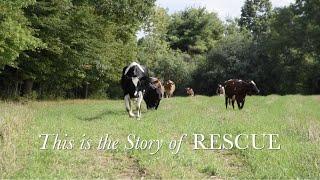 This is the Story of Rescue