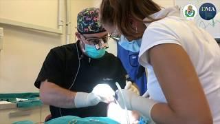 The Cadaver Сourse Introduction