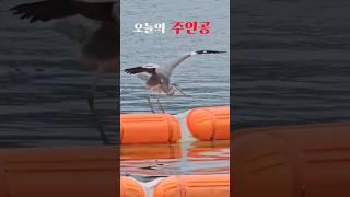 오늘의 주인공 ️
