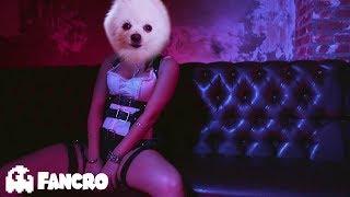 Becky G - Mayores  Bad Bunny -Cover Perros