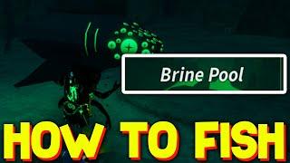 HOW TO FISH IN BRINE POOL in FISCH! ROBLOX