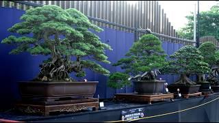 Pameran Bonsai WBFF Indonesia