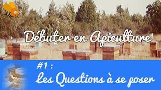 Débuter en apiculture #1 Les questions à se poser